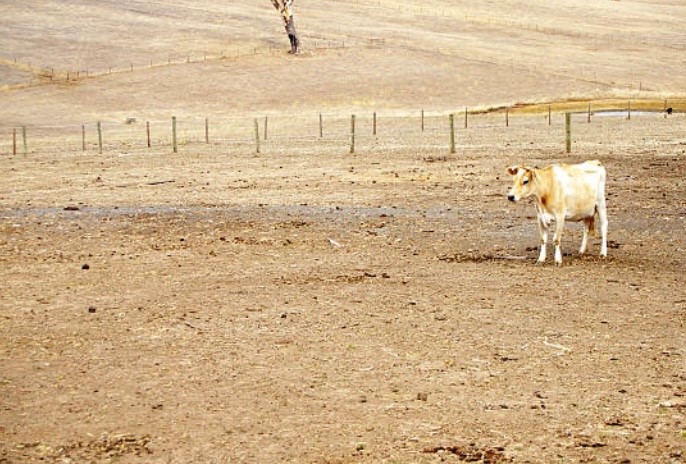 drought farm